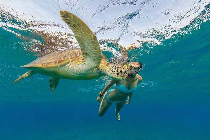50' Luxury Yacht. Private Full or Half Day Catamaran Snorkel, & Beach Experience - Where you start: Red Hook, with a possible Cruz Bay pickup