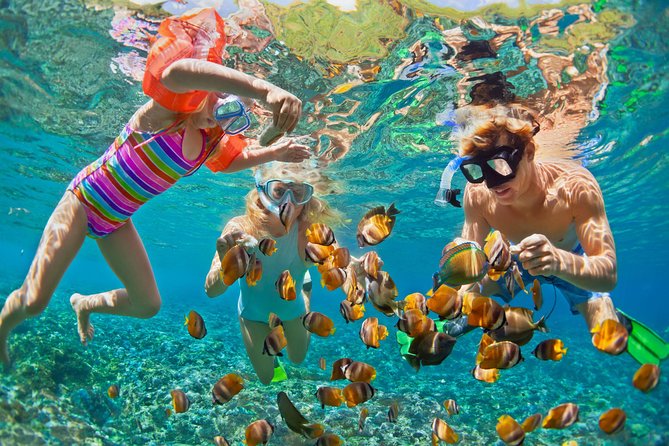 50' Luxury Yacht. Private Full or Half Day Catamaran Snorkel, & Beach Experience - Price and value: what $1,595 per group really covers