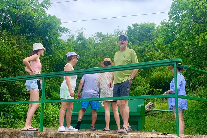 6 Hour St. Thomas Private Sightseeing Tour - A Private Half-Day Loop That Starts With Views, Then Hands You the Beach