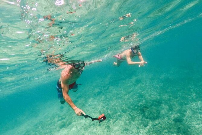 Admission Ticket to Coral World & Coki Point Beach with Snorkeling - Price and Logistics: How the $40 Ticket Works (and Where Costs Can Pop Up)