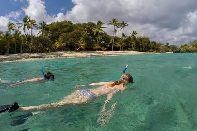 Admission Ticket to Coral World & Coki Point Beach with Snorkeling - Coral World Ocean Park: Reef Life, Nature Trails, and the Underwater Observatory Tower