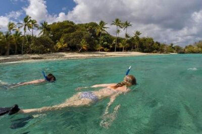 Admission Ticket to Coral World & Coki Point Beach with Snorkeling