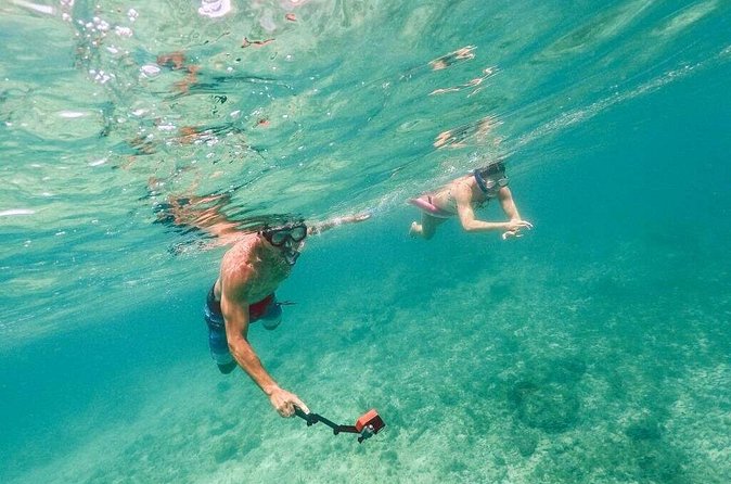Admission Ticket to Coral World & Coki Point Beach with Snorkeling - Quick Decision Guide: Should You Book This Ticket?