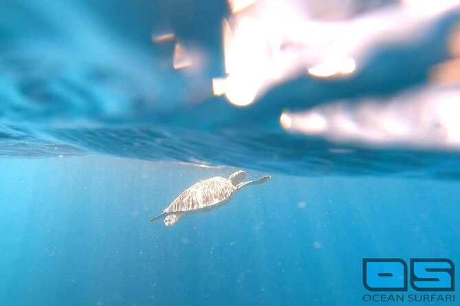 Afternoon Snorkel, Pizza & Sunset Tour departing from St. Thomas & St. John - How the St Thomas to St John pickup works (and why cruise ships are a bad fit)