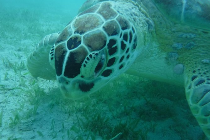 All-Inclusive Sunset Sail - Semi Private - Only 6 Guests - Snorkeling From the Boat: Simple, Gear-Provisioned Fun