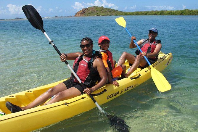 Best of Mangrove Lagoon Kayak, Hike and Snorkel Adventure with Picnic Lunch - Key things to know before you go