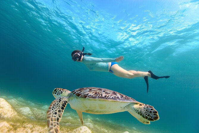 Best of Mangrove Lagoon Kayak, Hike and Snorkel Adventure with Picnic Lunch - A 5-hour combo that hits mangroves, cliffs, and reef life