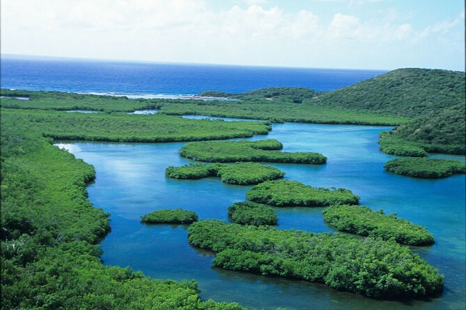 Best of Mangrove Lagoon Kayak, Hike and Snorkel Adventure with Picnic Lunch - The volcanic cliff hike to a blowhole is the curveball