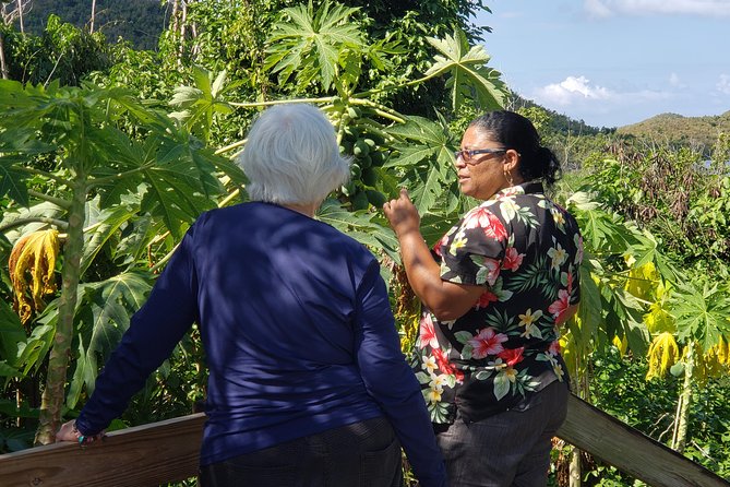 Book Your Private Two and a Half Hour Island Tour today! - A smart way to get oriented on St John, fast