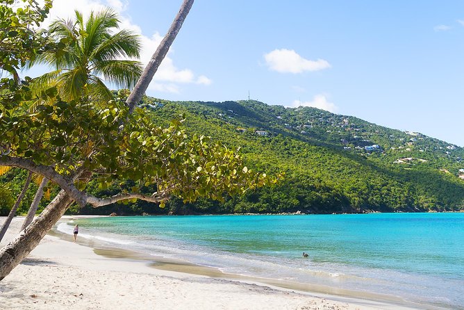 Budget Magens Bay Beach - Key Highlights at Magen’s Bay, Plus the Arboretum Time