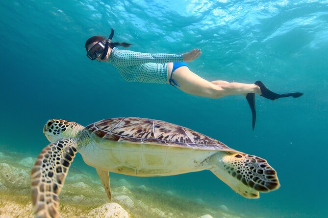 Cas Cay - Kayak Hike and Snorkel Adventure - Cas Cay feels like a small-island escape, without the long trip