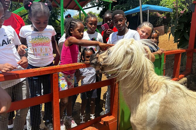 Connors Farms Petting Zoo - Getting From Fortuna Road to Black Point Hill Views