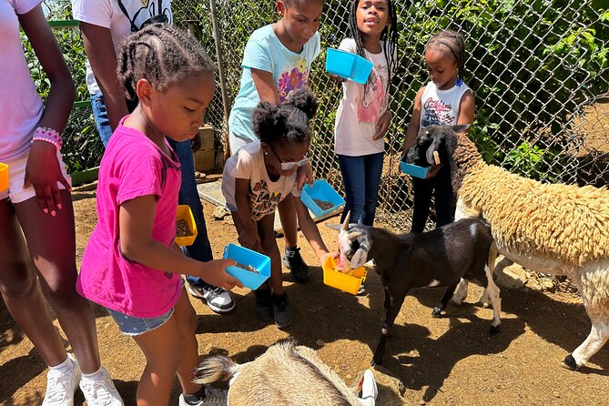 Connors Farms Petting Zoo - How Much Time You’ll Spend There (and Why 2.5 Hours Works)