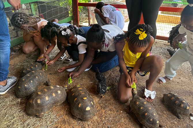 Connors Farms Petting Zoo - The Driven Dirt Trail to the Farm: Comfort vs. Nature