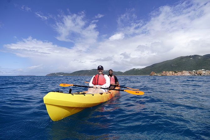 Coral Reef and Turtle Discovery Tour - Photos, Underwater Shots, and the $40 Decision