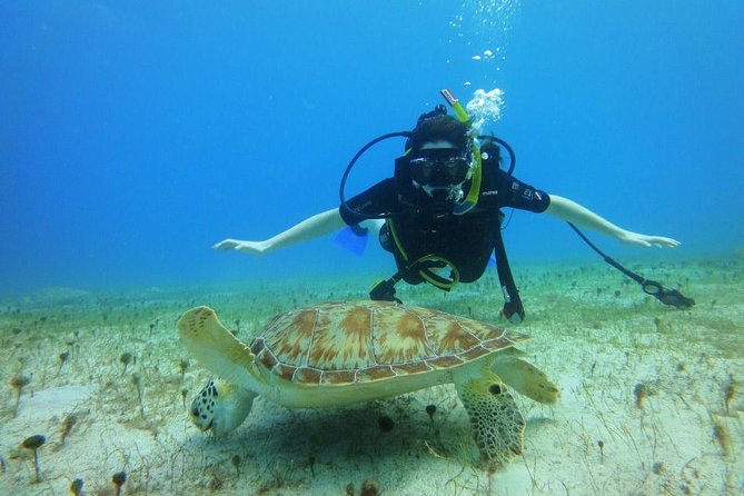 Discover Scuba Diving with No Certification in St Thomas - Where You Start at Saga Haven Marina (and What That Means for Your Day)