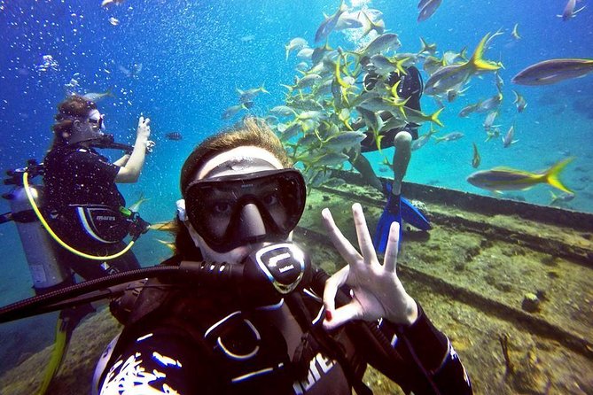 Discover Scuba Diving with No Certification in St Thomas - What You Get For $225, and Why It Can Be Good Value