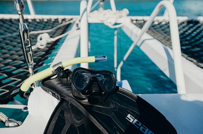 Discover the Best of St. John - Snorkel, Beach & Shopping! - Cruz Bay Time: Beach Walks, Shops, and Lunch You Choose