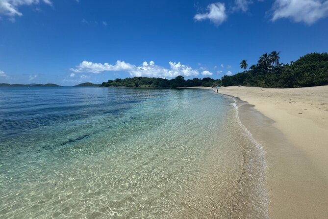 Explore St. John, Beaches and National Park Private Tour - Virgin Islands National Park: the beaches you actually came for
