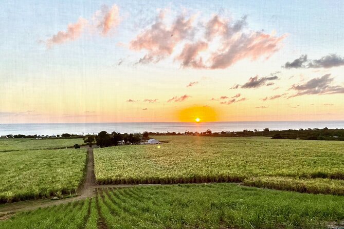 Farm to Bottle Tour at Prosperity Farm Distillery - Why This Farm-to-Bottle Tour Feels Different in St. Croix
