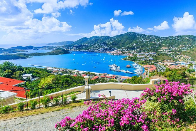 Flavors of St Thomas Walking Food Tour - The tastings you will actually be excited to eat