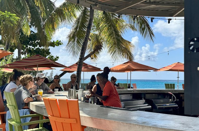 Frederiksted Moke Tour - Sandy Point Art Oasis: private beach time plus local art and a movie tie-in