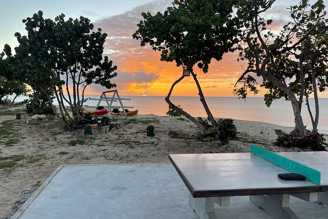 Frederiksted Moke Tour - Food, drinks, and watersports access: what is actually included and why it matters