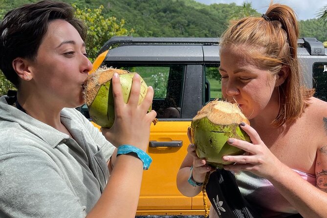 Full Day Cultural Jeep Beach Tour, St. Thomas & Water Island - Key highlights to look for