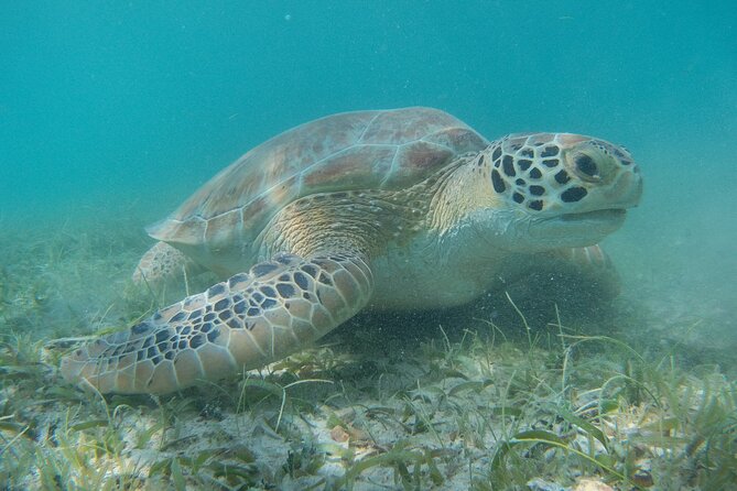Full Day Private Charter, Snorkel St. John (12 guests, 55’ yacht) - Stop 4, Trunk Bay Beach: sailing through St John National Park