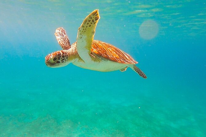 Full-Day Sailing Tour in Virgin Islands National Park - Caneel Bay by water: the beach you don’t just stumble onto