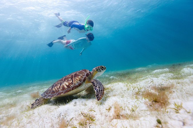 Full or Half Day Private Power Catamaran- USVI Beach and Snorkel - Price and budgeting: what $995 covers, plus fuel and tipping