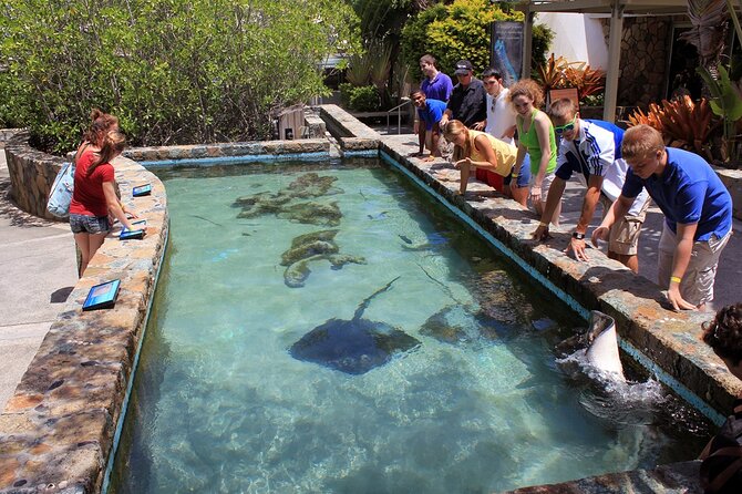 Guided Tour of Coral World Ocean Park & Happy Hour - Coral World Ocean Park at night: what makes it feel different
