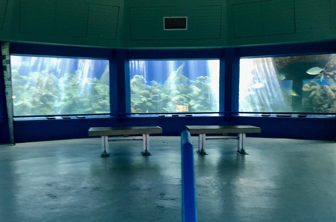 Guided Tour of Coral World Ocean Park & Happy Hour - What to bring so you enjoy it more
