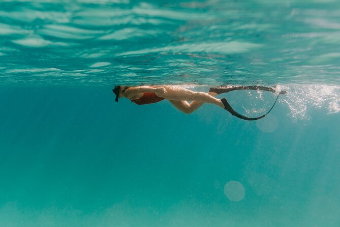 Half Day Boat Charter around the Islands of St Thomas and St John - How the captain shapes your day, from beaches to snorkeling