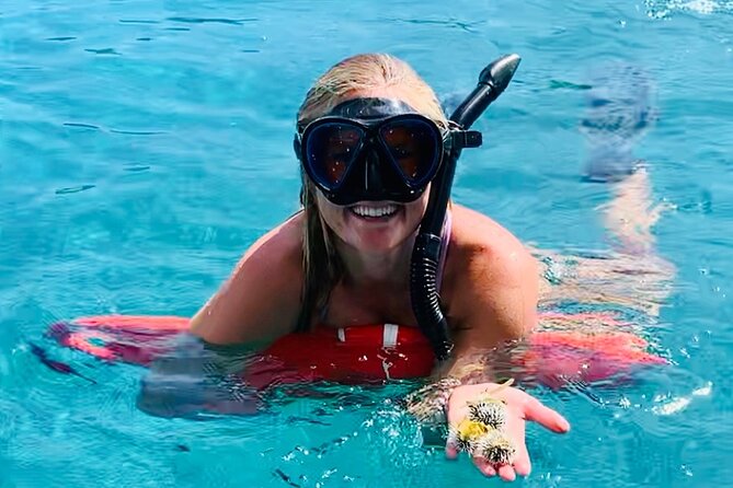 Half Day Luxury Catamaran Turtle Snorkel And Beach - Key Highlights Worth Your Time