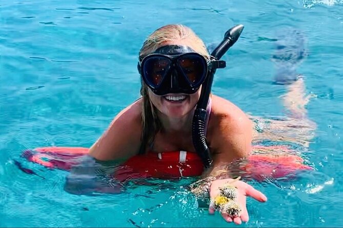 Half Day Luxury Catamaran Turtle Snorkel And Beach - Why This Small-Group Turtle Snorkel Feels Like a Private Day