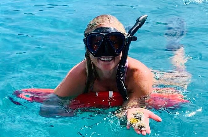 Half Day Luxury Catamaran Turtle Snorkel And Beach - Price and Value: Why $159 Can Make Sense Here