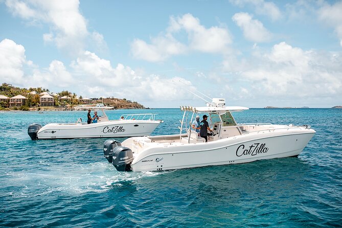 Half-Day Private Charter from St John - The captain-led “custom itinerary” part, and why it helps more than you think
