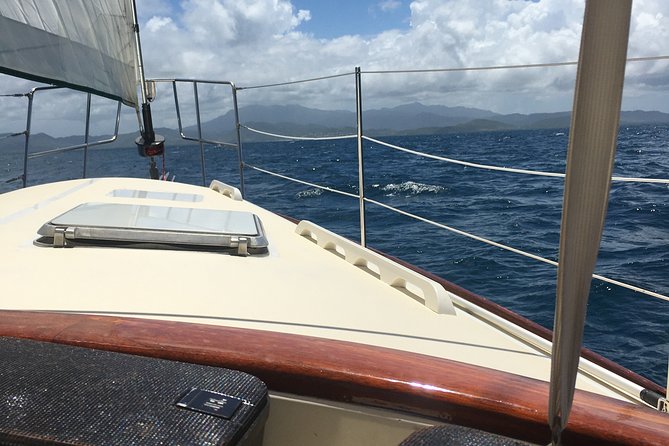 Half Day Sail and Snorkel with the Turtles - Key things you’ll notice on this turtle sail