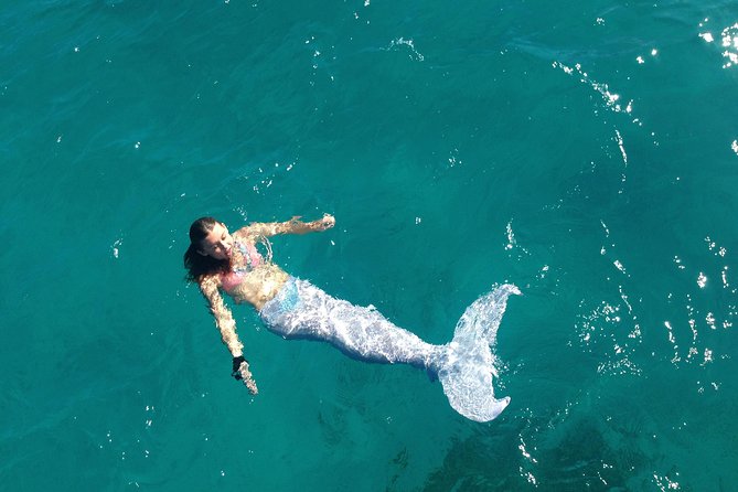 Half Day Sail and Snorkel with the Turtles - Buck Island and Turtles Cove: where the day’s magic happens