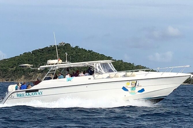 Half Day Snorkeling Tour from Margaritaville - Why This 2.5-Hour Snorkel Cat Trip Works for Cruise Days