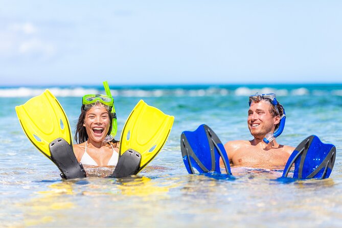 Half Day Snorkeling Tour from Margaritaville - Stop-by-Stop What “Good Snorkeling Time” Feels Like