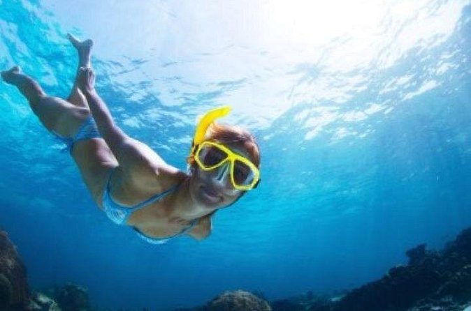 Half Day Snorkeling Tour from Margaritaville - Onboard Crew Energy: Captain Jokes and Real Help