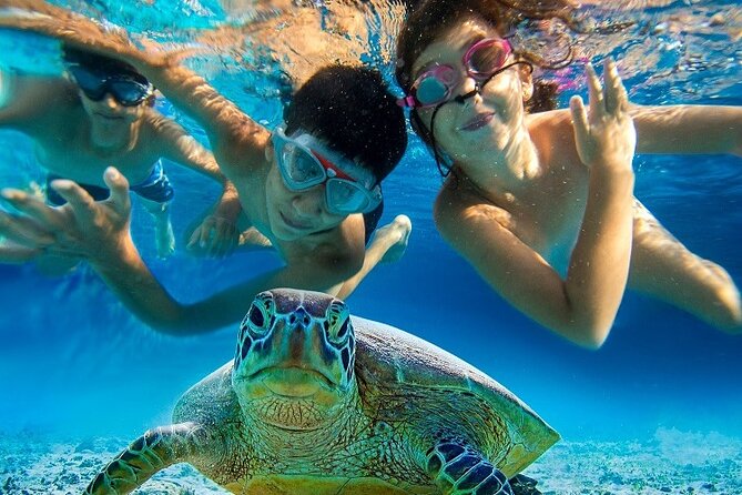 Half Day Snorkeling Tour from Margaritaville - What to Bring So You Do Not Lose Time (or Money)