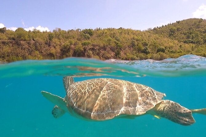 Half or Full-Day Private Boat Charter from St. John or St. Thomas - A Private Power Catamaran Day in St. Thomas and St. John