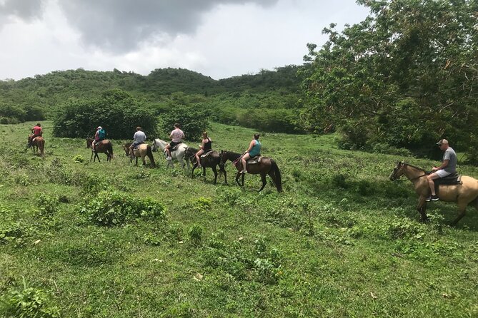 Horseback Riding Experience - Why This St. Croix Ride Feels More Local Than a Big Tour