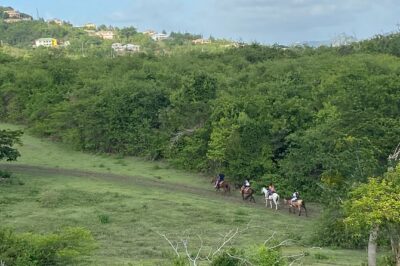 Horseback Riding Experience