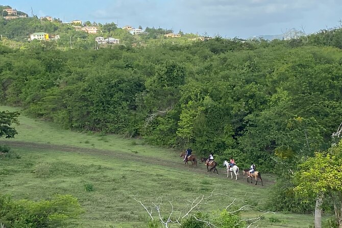Horseback Riding Experience - Meet at 72 Estate River, Then Get Mounted and Ready