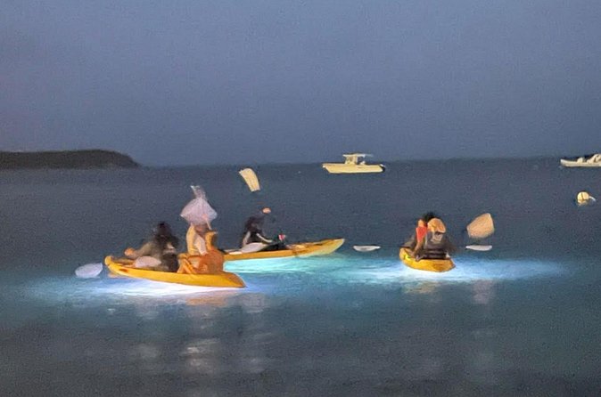 Illuminated Night Kayaking at the Elysian Resort - Guides, small groups, and the little details that make it feel fun
