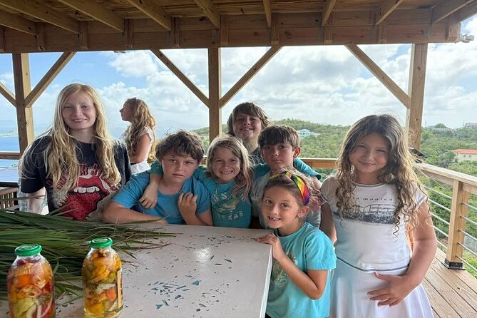 Island Eco Farm Tour with Local Treats and Sapphire Beach Time - Key highlights to look for